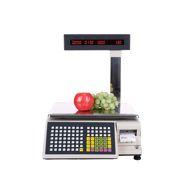 Scangle TS200 Electronic weight scale